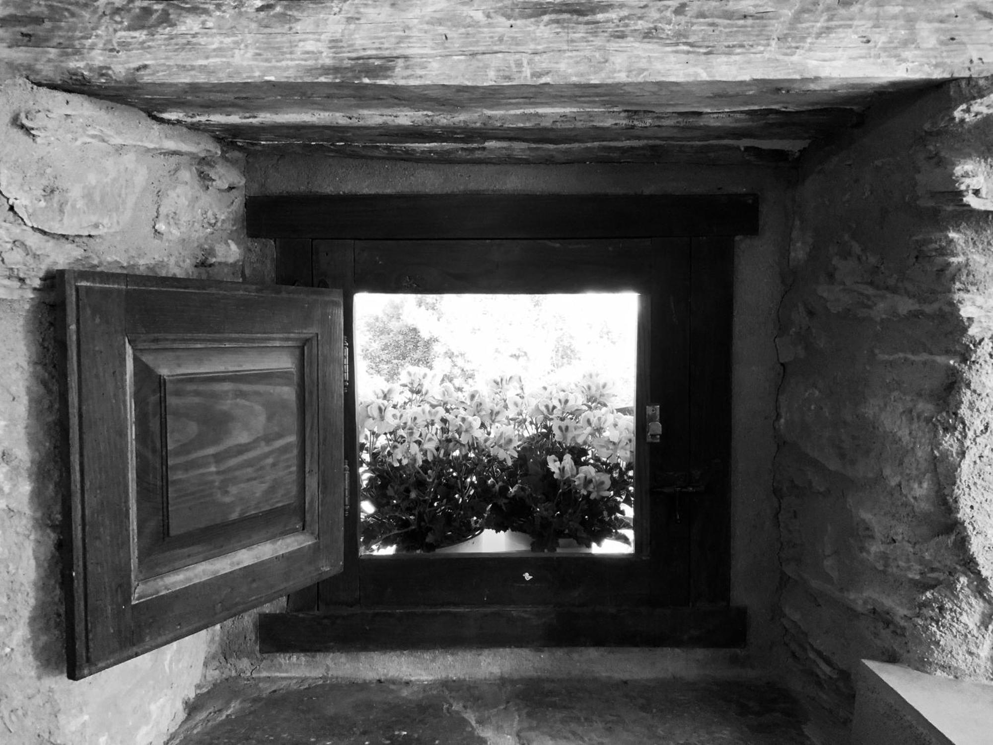 La Grulla Gris Guest House Perales del Puerto Bagian luar foto